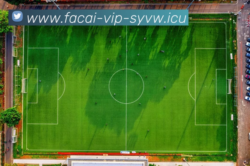 华体会体育注册发展历程